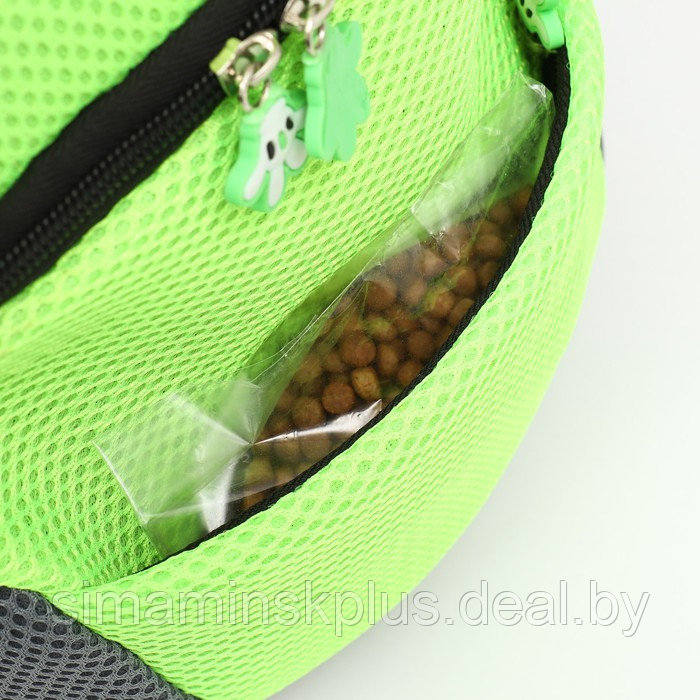 Рюкзак-переноска для животных, максимальный вес 10 кг, 30 х 16 х 34 см, зелёный - фото 9 - id-p221682007