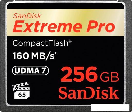 Карта памяти SanDisk Extreme Pro CompactFlash 256GB [SDCFXPS-256G-X46] - фото 1 - id-p221327688
