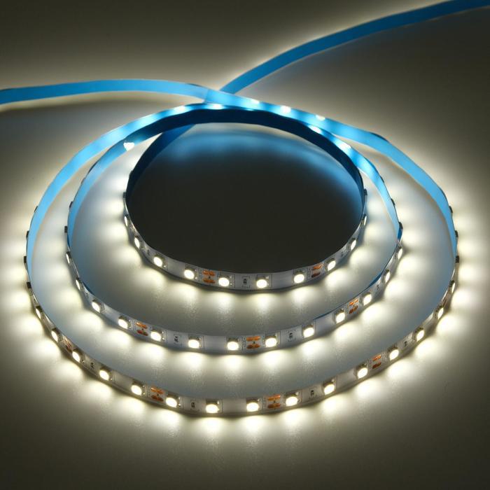 Светодиодная лента Ecola PRO 5 м, IP20, SMD5050, 60 LED/м, 14.4 Вт/м, 12 В, 4200К - фото 1 - id-p221705166