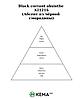 Отдушка КЕМА Абсент из черной смородины 50гр (по мотивам Candle Science), фото 2