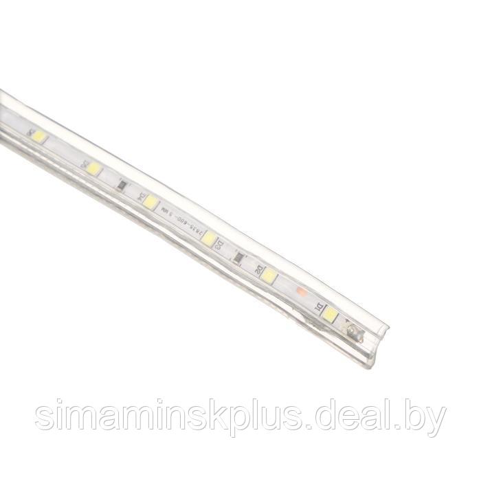 Светодиодная лента Ecola 12 × 7 мм, 20 м, IP68, SMD2835, 60 LED/м, 4 Вт/м, 220 В, 6000К - фото 2 - id-p221710116