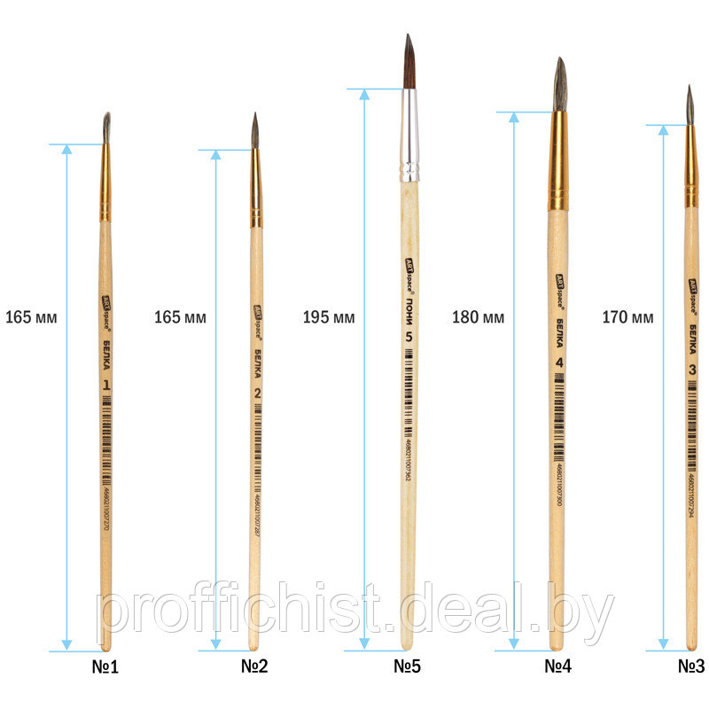 Набор кистей ArtSpace 5шт., белка, круглые, № 1, 2, 3, 4, 5, блистер ЦЕНА БЕЗ НДС!!! - фото 2 - id-p220482659