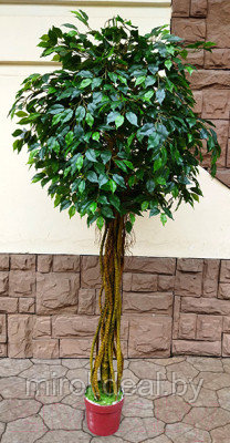 Искусственное растение ForGarden Дерево Ficus Melani / FGN BF00390 - фото 1 - id-p221742992