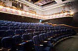 Театральное кресло Арлекино   для детского театра, фото 2