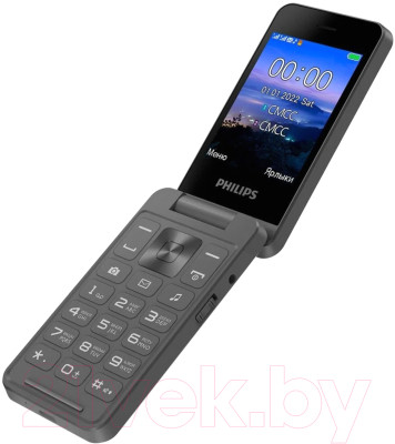 Мобильный телефон Philips Xenium E2602 - фото 3 - id-p221839765