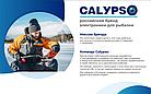 Эхолот Calypso FFS-01 Comfort, фото 3