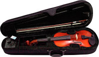 Скрипка Gewa EW 4/4 PS401.621