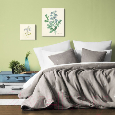Набор текстиля для спальни Pasionaria Бэлли 230x250 с наволочками - фото 5 - id-p221796526