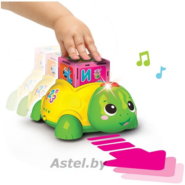 Развивающая игрушка Азбука с Черепашкой (зеленый) (комплект: черепашка и кубики (5 шт.)) 2850В - фото 3 - id-p221963713