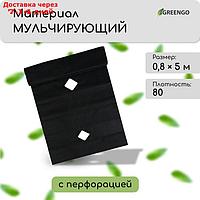 Материал мульчирующий, с перфорацией, 0,8 × 5 м, плотность 80, с УФ-стабилизатором, чёрный, Greengo, Эконом