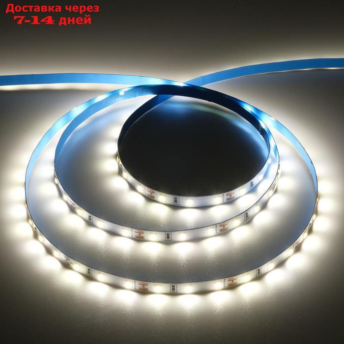 Светодиодная лента на катушке Ecola LED strip PRO, 8 мм, 12 В, 4200 К, 11 Вт/м, IP20, 5 м - фото 1 - id-p221895200