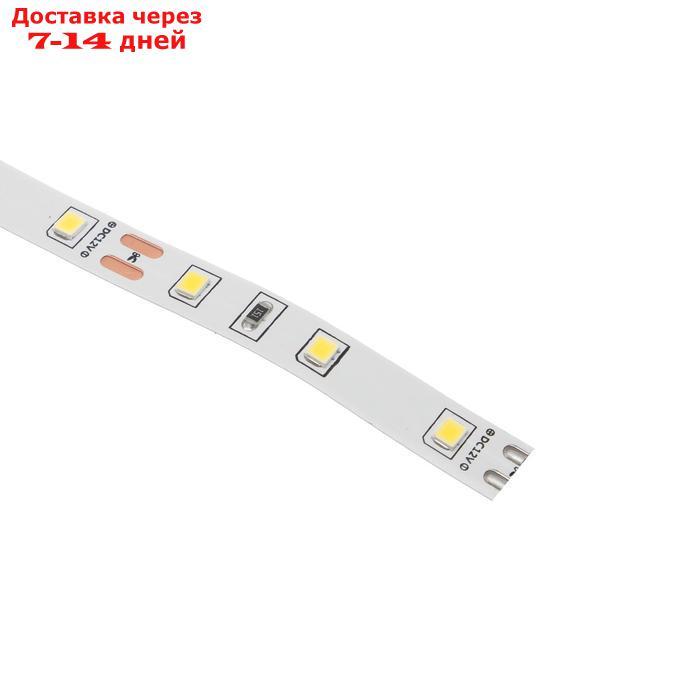Светодиодная лента на катушке Ecola LED strip PRO, 8 мм, 12 В, 4200 К, 11 Вт/м, IP20, 5 м - фото 3 - id-p221895200