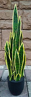 Искусственное растение ForGarden Сансевиерия 80-357878 / BF01773