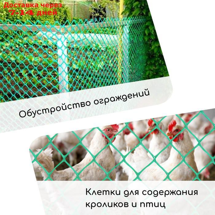 Сетка садовая, 1,5 × 5 м ячейка 1,5 × 1,5 см, зелёная, Greengo - фото 4 - id-p221906986