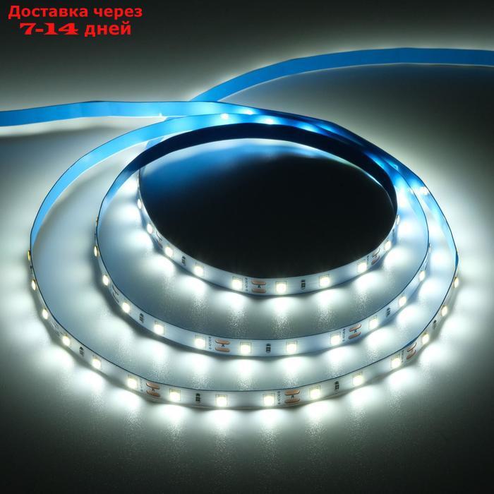 Светодиодная лента на катушке Ecola LED strip PRO, 8 мм, 12 В, 6000 К, 11 Вт/м, IP20, 5 м - фото 1 - id-p221890627