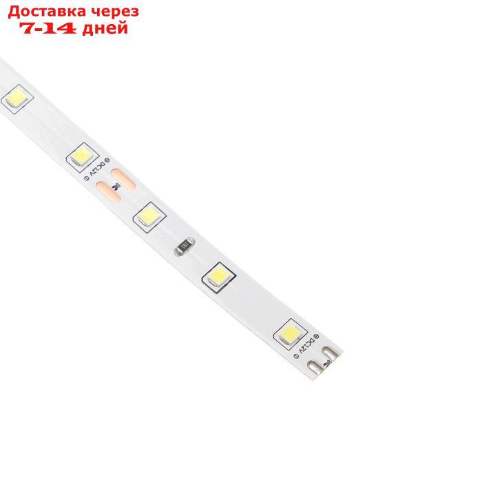 Светодиодная лента на катушке Ecola LED strip PRO, 8 мм, 12 В, 6000 К, 11 Вт/м, IP20, 5 м - фото 3 - id-p221890627