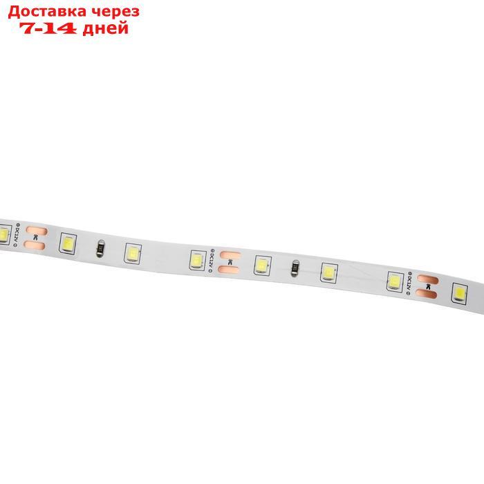 Светодиодная лента на катушке Ecola LED strip PRO, 8 мм, 12 В, 6000 К, 11 Вт/м, IP20, 5 м - фото 4 - id-p221890627