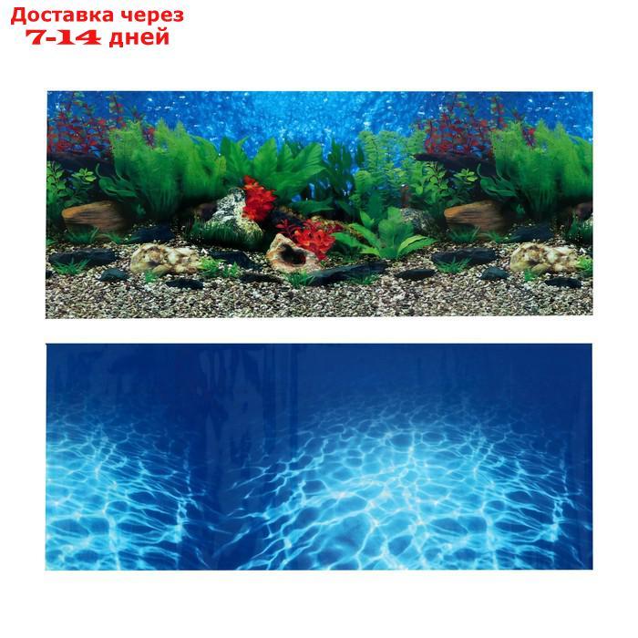Фон для аквариума, 50 х 115 см - фото 1 - id-p221924454