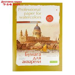 Папка для акварели А2, 8 листов "Профессиональная", бумага Гознак, 200 г/м