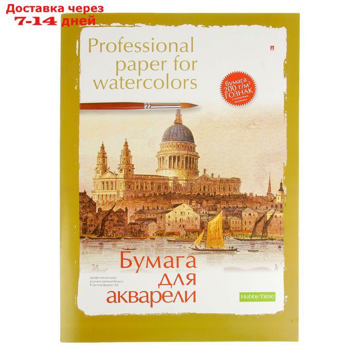 Папка для акварели А2, 8 листов "Профессиональная", бумага Гознак, 200 г/м - фото 1 - id-p221929057