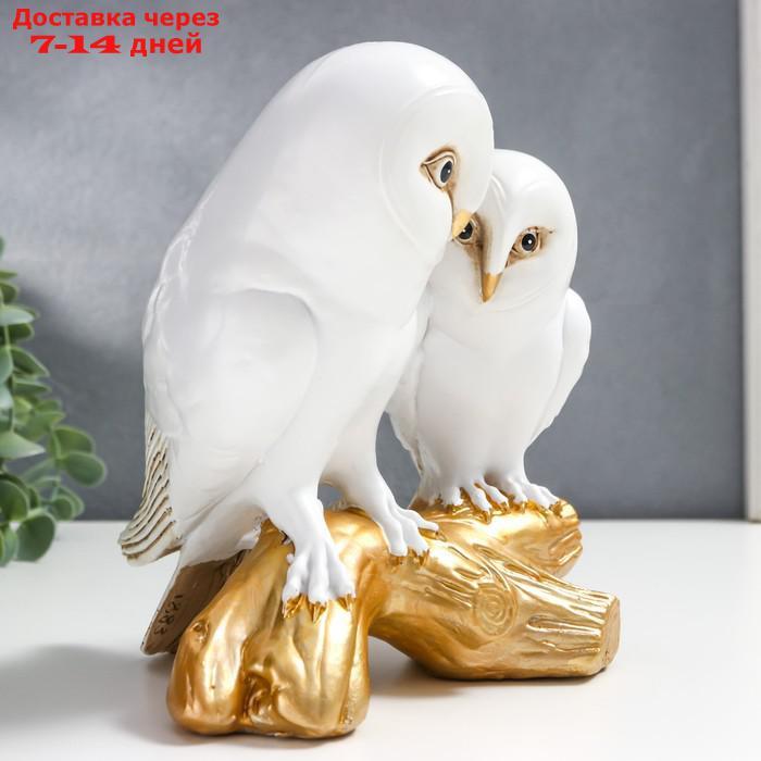 Сувенир полистоун "Белые совы на золотой коряге" 19х12х16 см - фото 2 - id-p221932347