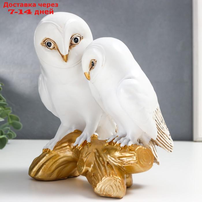 Сувенир полистоун "Белые совы на золотой коряге" 19х12х16 см - фото 3 - id-p221932347
