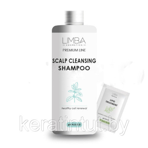 Шампунь для кожи головы Limba Mint Scalp Cleansing Shampoo , 1000 мл - фото 1 - id-p222001825