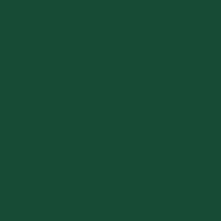 Картон ср/зернистый 50х70см., 220г/м2 (зеленая ель)