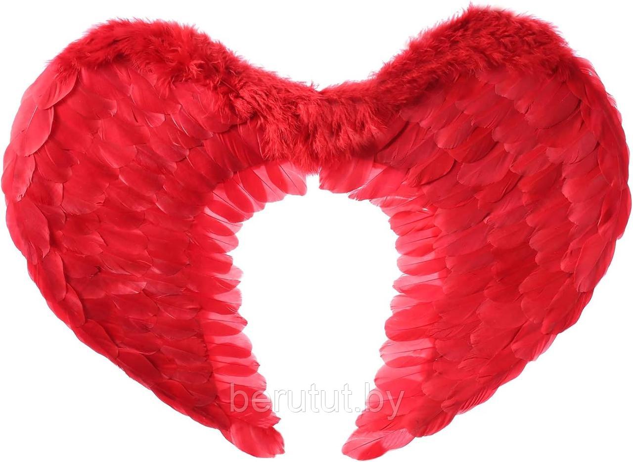 Крылья ангела из перьев натуральные 60*40 см (Белые, Черные, Красные) - фото 3 - id-p209902957