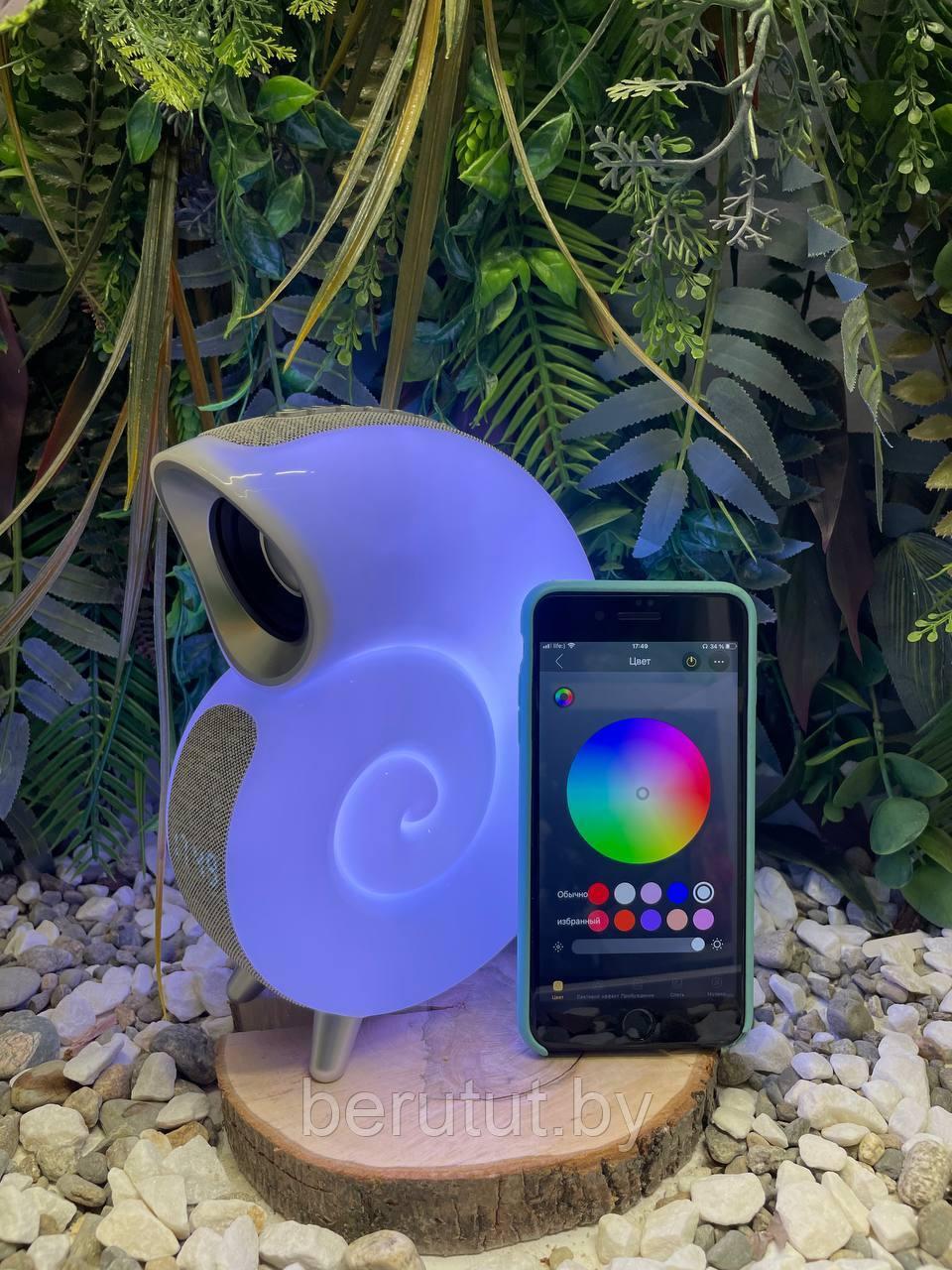 Умная колонка ночник музыкальная Bluetooth Conch Music Light  (ID#222015464), купить на Deal.by