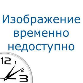 Bort ПАРООЧИСТИТЕЛЬ BORT BDR-1700 {Мощность 1300 Вт; Макс давление 3,5 бар; Постоянная подача пара 25 г/мин;