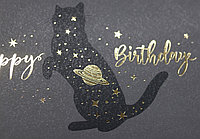 Открытка-конверт для денег Meshu 85*164 мм, Happy Birthday. Space Cat