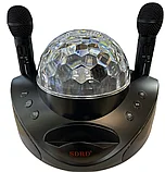 Караоке система для дома SDRD SD-308 с 2 микрофонами и дискошаром, фото 3