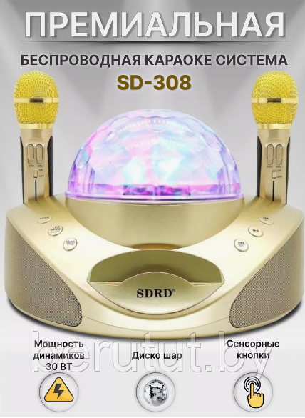 Караоке система для дома SDRD SD-308 с 2 микрофонами и дискошаром