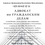 Адвокат Демидовец Е.М. Юрпомощь по административным процедурам., фото 2