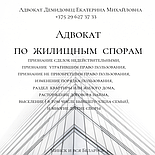 Адвокат Демидовец Е.М. Юрпомощь по административным процедурам., фото 3