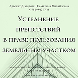 Адвокат Демидовец Е.М. Юрпомощь по административным процедурам., фото 4