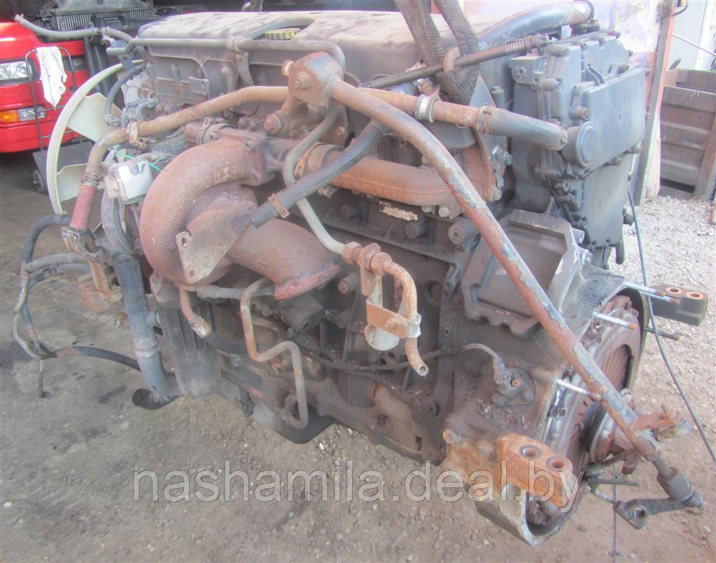 Двигатель Iveco Stralis - фото 6 - id-p222104442