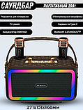 Караоке система для дома BOOMSBASS M3201+ с 2 микрофонами, фото 7
