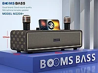 Караоке система для дома BOOMSBASS M2204+ с 2 микрофонами