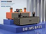 Караоке система для дома BOOMSBASS M2204+ с 2 микрофонами, фото 4