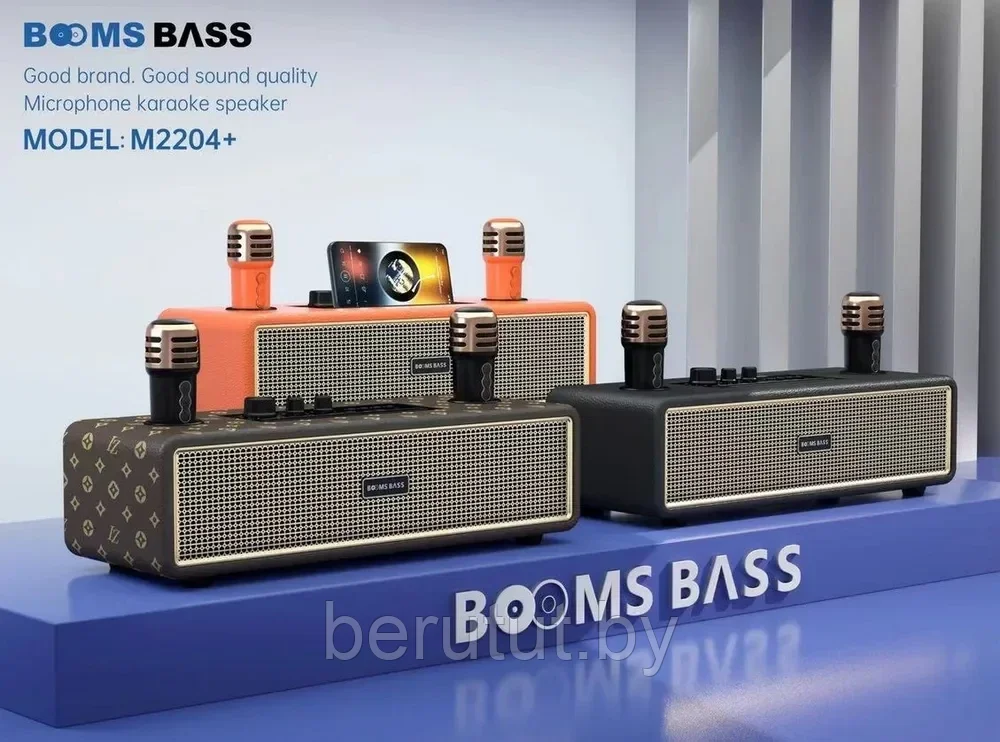 Караоке система для дома BOOMSBASS M2204+ с 2 микрофонами - фото 5 - id-p222131689