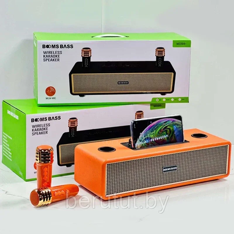 Караоке система для дома BOOMSBASS M2204+ с 2 микрофонами - фото 8 - id-p222131689