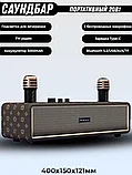 Караоке система для дома BOOMSBASS M2204+ с 2 микрофонами, фото 7