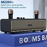 Караоке система для дома BOOMSBASS M2204+ с 2 микрофонами, фото 3