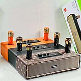 Караоке система для дома BOOMSBASS M2204+ с 2 микрофонами, фото 6