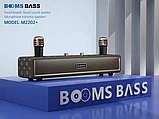Караоке система для дома BOOMSBASS M2202+ с 2 микрофонами, фото 2