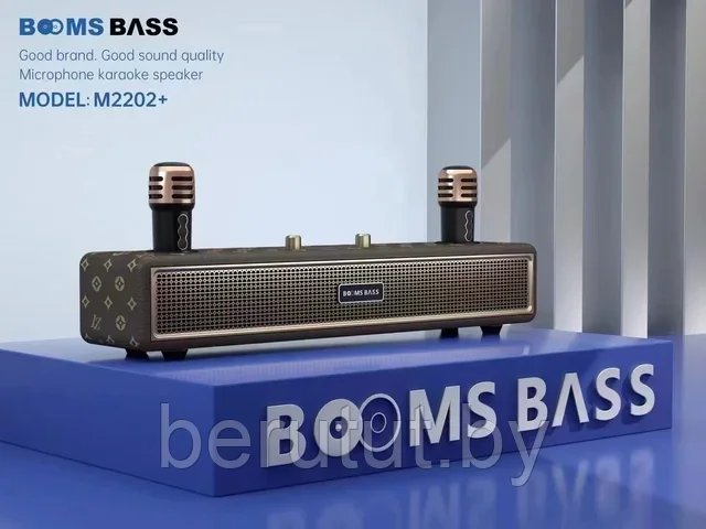 Караоке система для дома BOOMSBASS M2202+ с 2 микрофонами - фото 2 - id-p222134121