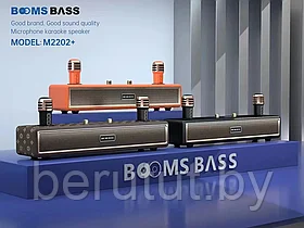 Караоке система для дома BOOMSBASS M2202+ с 2 микрофонами