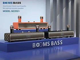 Караоке система для дома BOOMSBASS M2202+ с 2 микрофонами